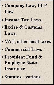 Text Box: Company Law, LLP LawIncome Tax Laws, Excise & Customs Laws, VAT, other local taxesCommercial LawsProvident Fund & Employee State InsuranceStatutes - various
