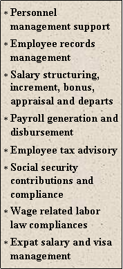 Text Box: Personnel management supportEmployee records managementSalary structuring, increment, bonus, appraisal and departsPayroll generation and disbursementEmployee tax advisorySocial security contributions and complianceWage related labor law compliancesExpat salary and visa management